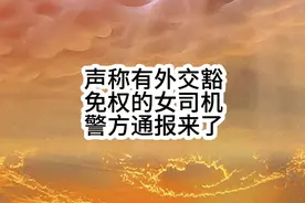 声称拥有外交豁免权的女司机，警方后续通报的详细结果来了…视频封面
