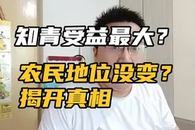 知青受益最大？农民地位没变？揭开真相视频封面