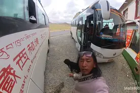 客车里不让带狗然后小狗骑在老板家每天给他30生活费三天后我就带