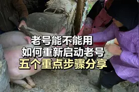没有流量的老账号怎样重新做起来?五个步骤分享给你视频封面