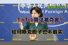 为什么TikTok算法被改变了视频封面