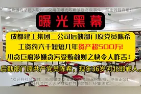 成都建工集团二司原党员陈希自曝贪污大额财产来源不明@头条帮忙视频封面
