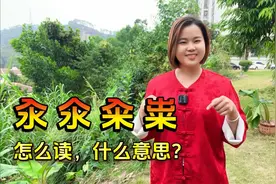 “汆、氽、籴、粜”四个字怎么读？是什么意思？一个汉字一个故事