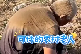 农村的现状，60后，70后都是主力，这些老人苦啊视频封面