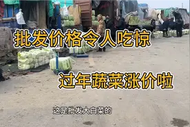 探访石家庄最大的蔬菜批发市场，批发价格令人吃惊，看看多钱一斤视频封面