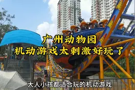 广州动物园，好多机动游戏大人、小孩都适合玩。