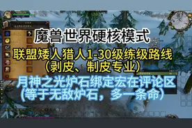 魔兽世界硬核模式联盟矮人猎人1-30级练级路线剥皮、制皮专业