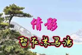 倩影留在苏马湾视频封面