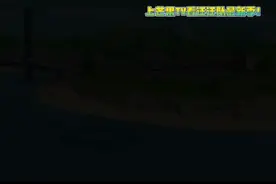 （汪汪队立大功第10季）芒果TV即将首播视频封面