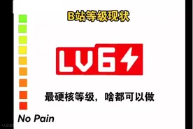 B站等级现状
