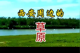 西安周边的草原，你去过吗？视频封面