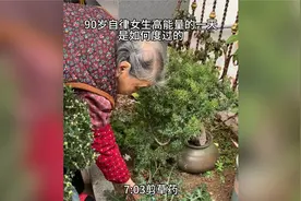 一看就知道，不是福建就是广东潮汕，这辛者库人生，真是让人羡慕