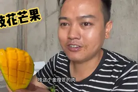 四川攀枝花芒果品种多，每种口感不一样，最好吃的芒果就是这种