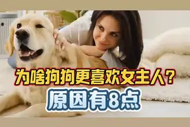 为啥狗狗更喜欢女主人呢？原因有8点！视频封面