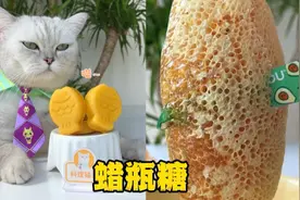 猫王：用土蜂巢制作蜡瓶糖！