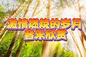 请您欣赏电视剧《激情燃烧的岁月》的主题曲重温那令人难忘的旋律