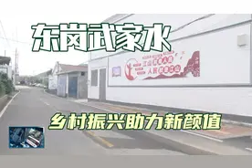 林州东岗武家水：环境靓丽助力生活美