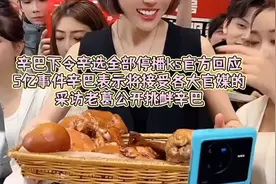 快手官方回应5亿事件，辛巴下令辛选全部停播欢迎各大官媒采访？视频封面