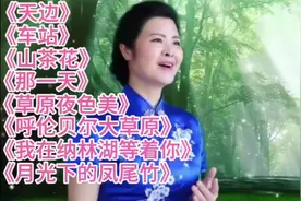 最美女中音歌唱家陈敏8首经典歌曲联唱，歌声浑厚绵长，回味无穷视频封面