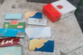 在垃圾站捡了10个烟盒视频封面