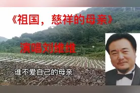 最好听的美声男高音歌唱家刘维维，甩戴玉强几条街，不信听听看。视频封面