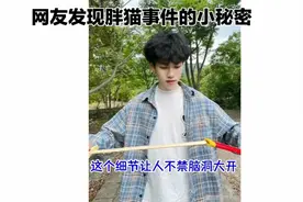 王者代打王胖猫事件揭秘：网友神推理，胖猫小秘密曝光