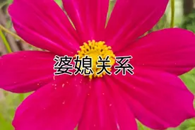 奚爸跟他妈一个德行了，梅子看你嘴笨的快离婚得了