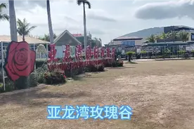 三亚亚龙湾玫瑰谷，值得一去，建议3-4月份过去，能赶上花期！视频封面