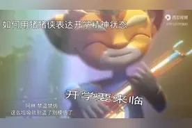 我的男神猪猪侠