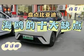 盘点一下海鸥的缺点，希望可以给即将购买海鸥的小伙伴一些参考！