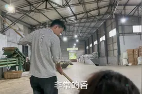 茉莉花园看完了，今天倩倩带大家来工厂看看，茉莉花茶的制作过程视频封面