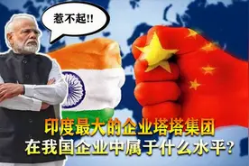 印度最大的企业塔塔集团，在我国企业中属于什么水平？视频封面