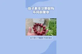 12颗珠子则代表一年十二个月