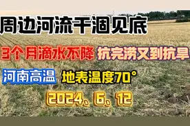 河南持续3个月高温滴水不降_地表最热超70°C_井河都抽干
