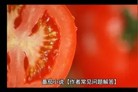 番茄小说【作者常见问题解答】
