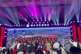 桐乡市乐清商会20 周年庆典大会视频封面