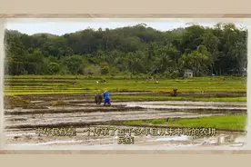 中国古代的土地制度，一直都是地主阶级剥削农民阶级