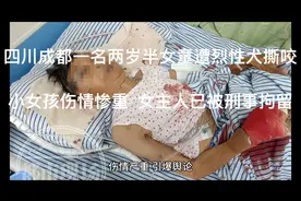 我国每年有约4000万人被猫狗咬伤 “狗咬人”咋就管不住？视频封面