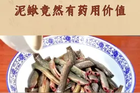 论泥鳅的药用价值