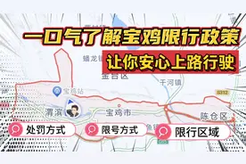 一口气带你了解宝鸡限行政策，避免违规受罚，从此安心上路行驶。视频封面