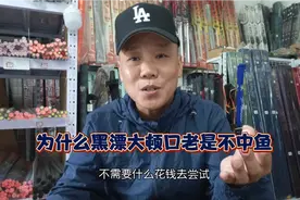 黑漂大顿口提竿不中鱼，实战技巧分享，聪明的钓友一点就通视频封面