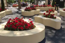深圳之香港接壤视频封面
