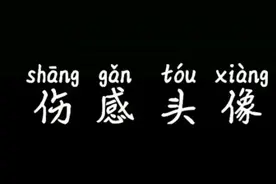 桂和大虫的老轩，伤感的头像视频封面