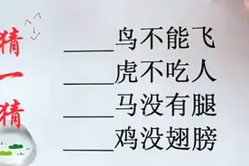 什么鸟不能飞？什么虎不吃人？什么马没腿？什么鸡没翅膀？猜猜