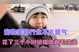 宠物美容行业不太景气 花了三个小时给猫咪剃毛洗澡 花了多少钱？视频封面