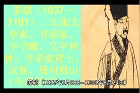 北宋文豪苏轼：字瞻，号东坡居士，享誉千古的才子！喜欢请点赞视频封面