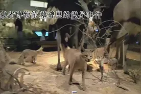 山东省博物馆 墓碑里的灵异事件视频封面