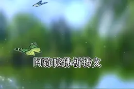 《阿弥陀佛祈祷文》刘清沨视频封面