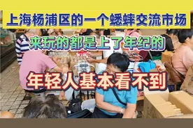 上海杨浦区一个蟋蟀交流市场，来玩的都是上了年纪的人，没年轻人视频封面