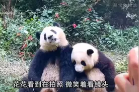 云南小彝哥视频封面